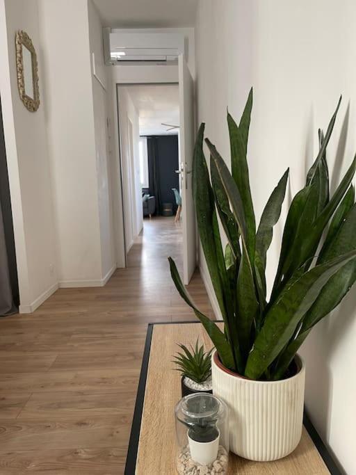 Apartment Havre De Paix En